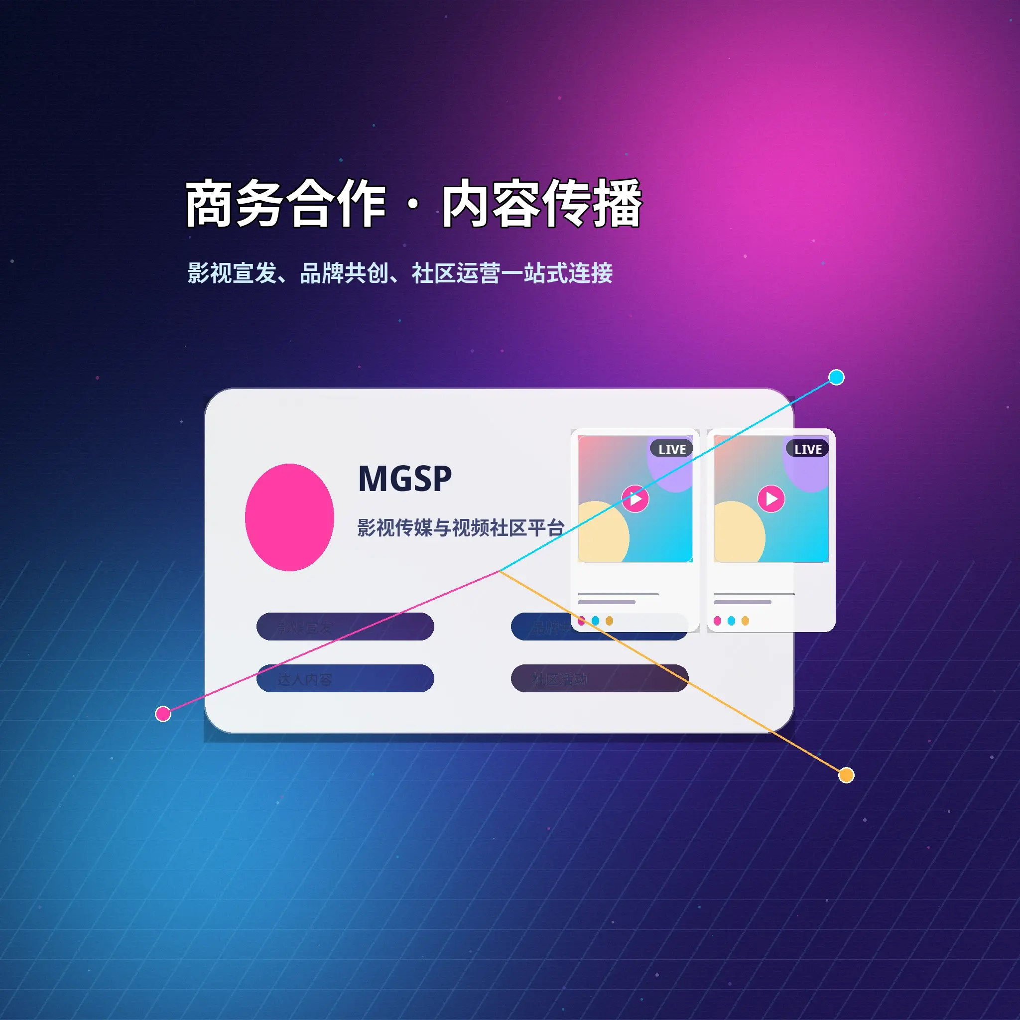 蘑菇视频服务支持与用户反馈展示